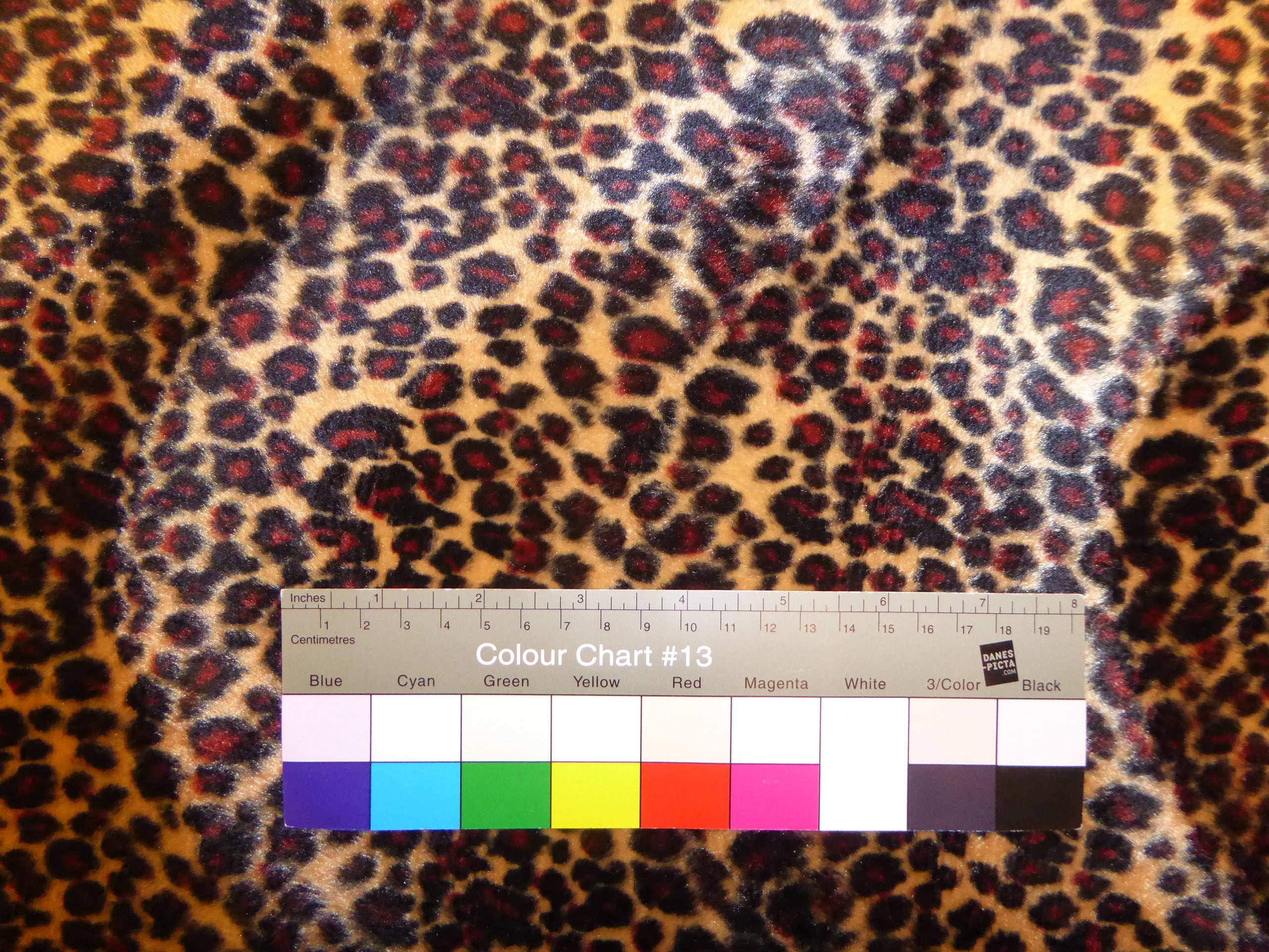 Leopard Print Velour (H1)